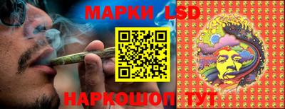 стаф Кингисепп