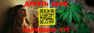 прущие крисы Кимры