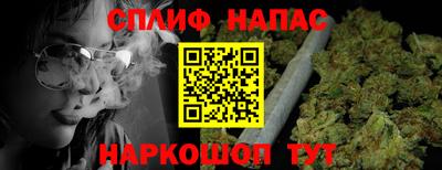 стаф Кингисепп