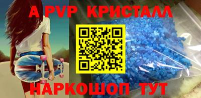 стаф Кингисепп
