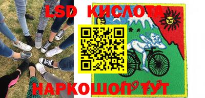 стаф Кингисепп