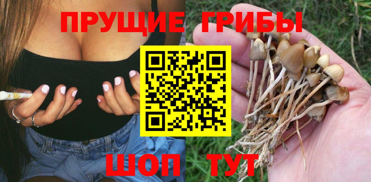 Янаул  Галлюциногенные грибы GOLDEN TEACHER  Вход с VPN  Галлюциногенные грибы прущие грибы 